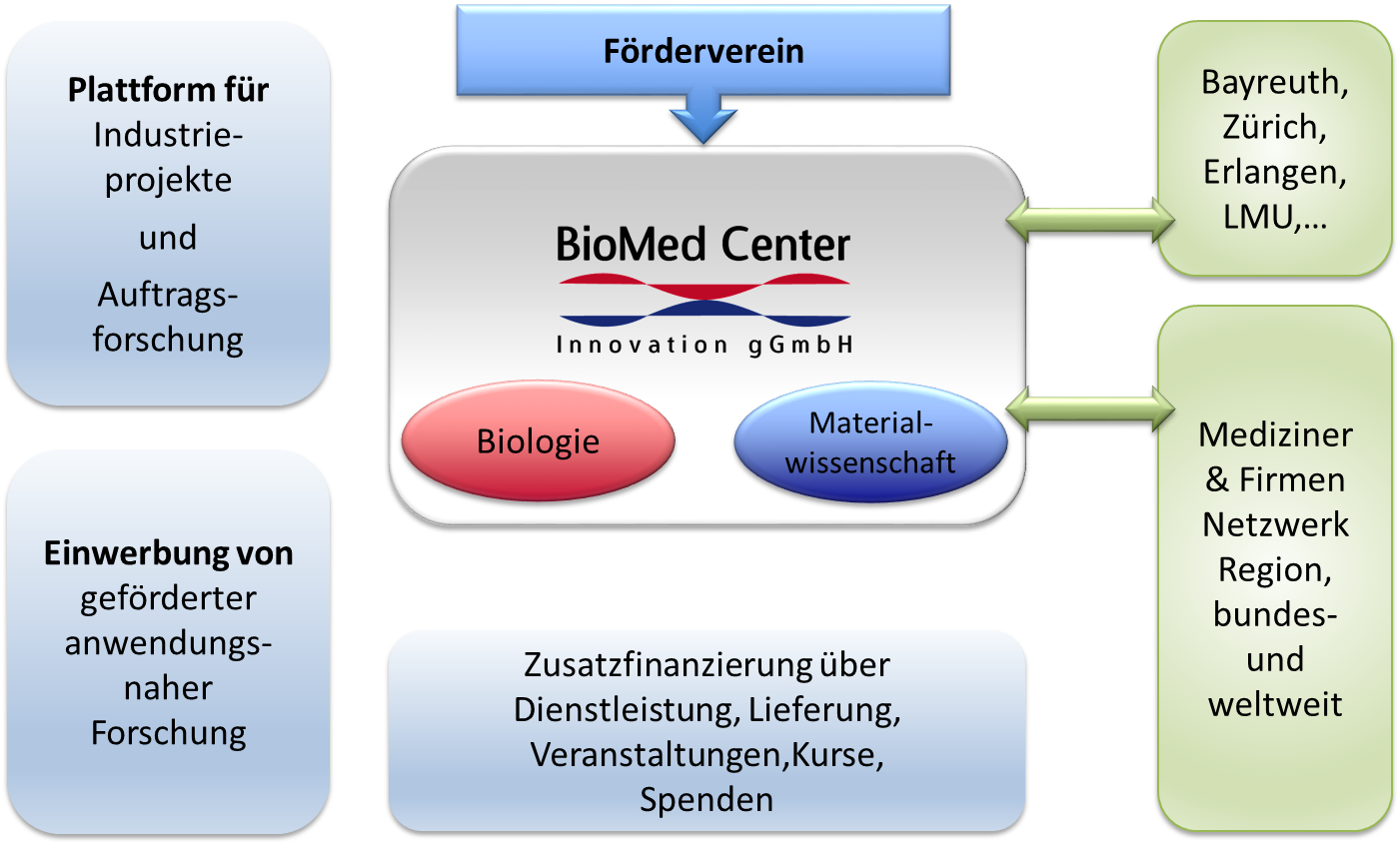 Leitung und Struktur - BioMed Center Innovation