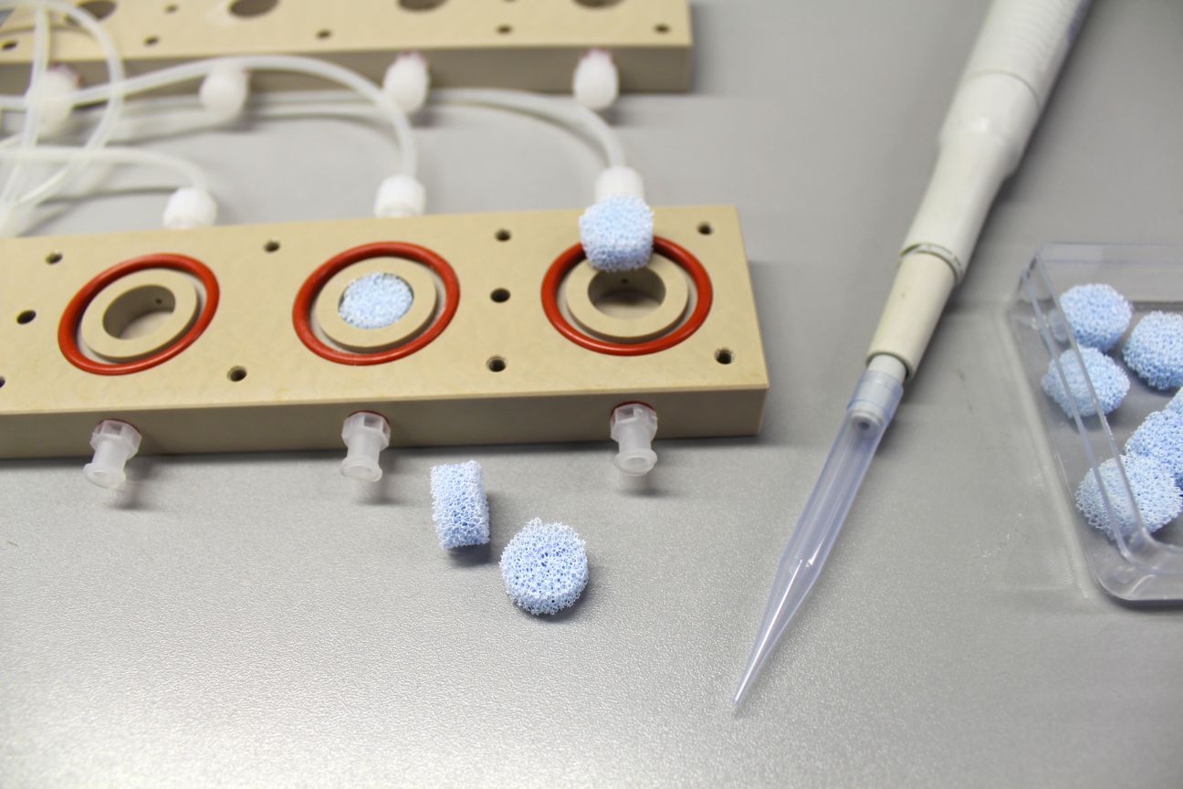 GO>3D bone scaffolds perfusion